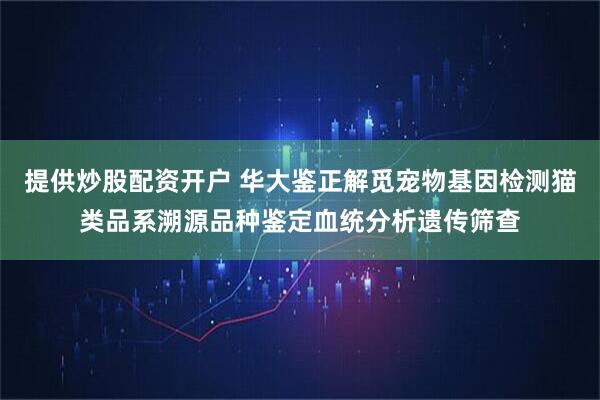 提供炒股配资开户 华大鉴正解觅宠物基因检测猫类品系溯源品种鉴定血统分析遗传筛查