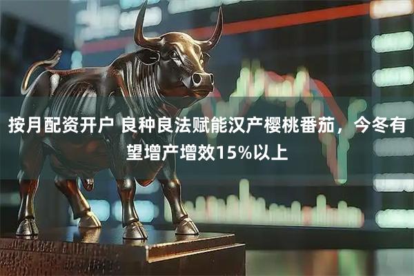 按月配资开户 良种良法赋能汉产樱桃番茄，今冬有望增产增效15%以上