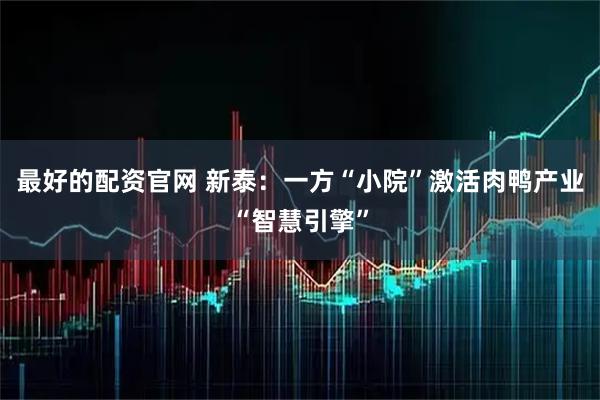 最好的配资官网 新泰:一方“小院”激活肉鸭产业“智慧引擎”