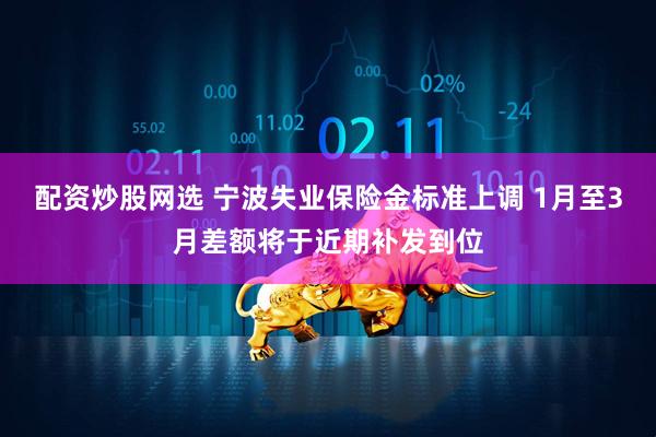 配资炒股网选 宁波失业保险金标准上调 1月至3月差额将于近期补发到位