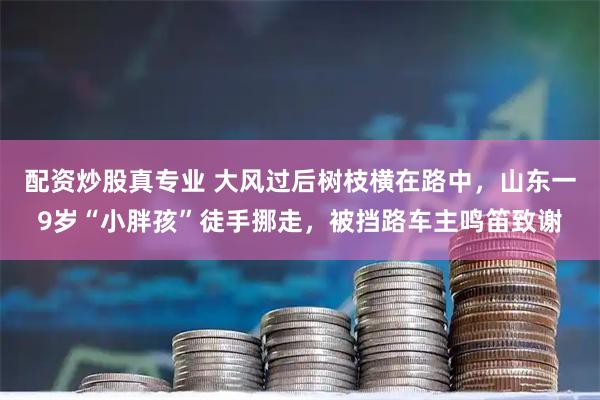 配资炒股真专业 大风过后树枝横在路中，山东一9岁“小胖孩”徒手挪走，被挡路车主鸣笛致谢